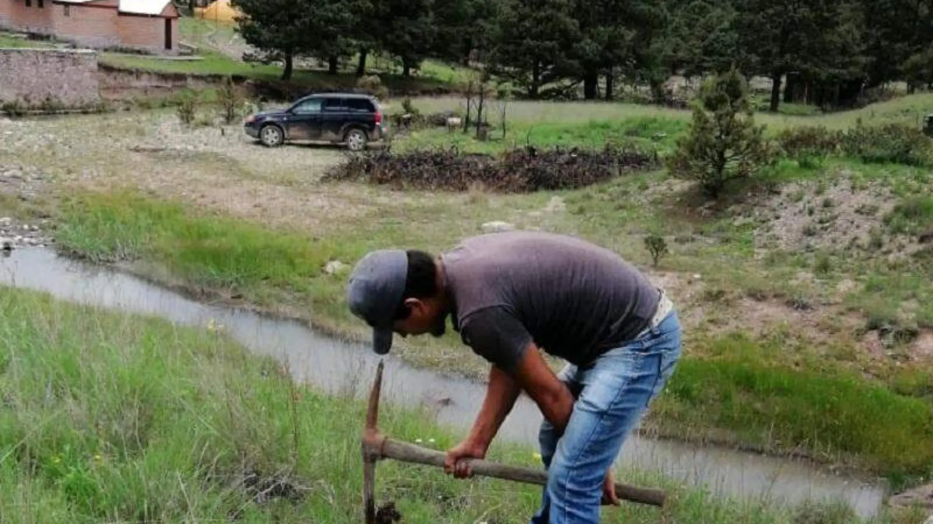 Talaba árboles y ahora los cultiva para reparar el daño